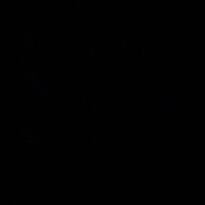 Meet your Posher, Priscila